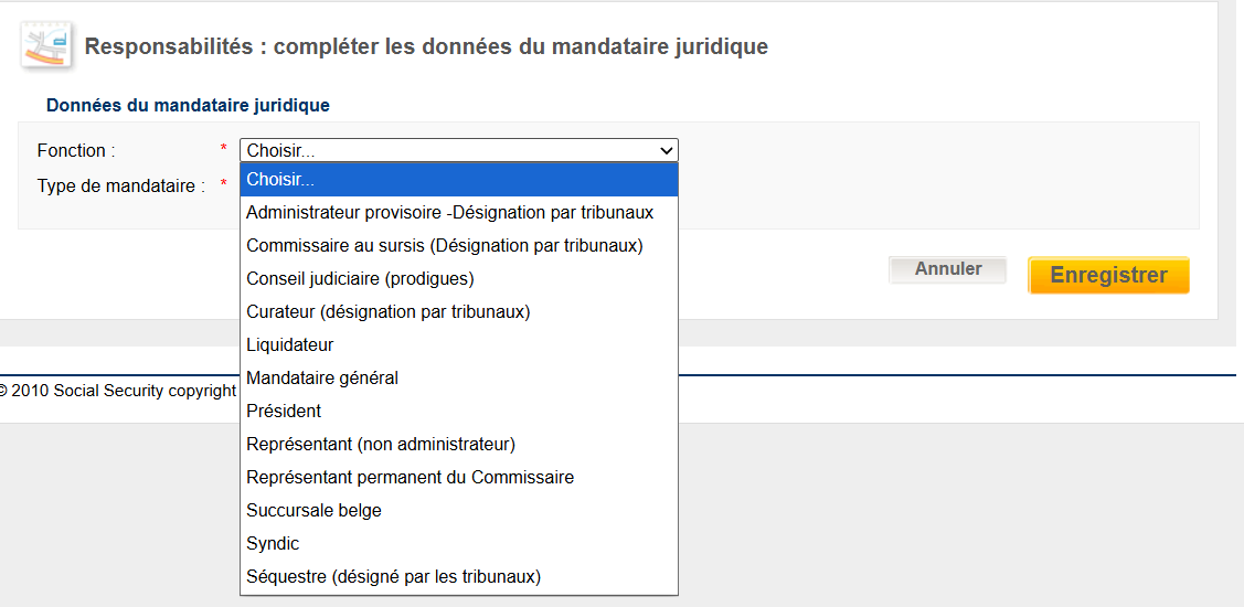 WIDE: legal representative - details WIDE: legal representative - details on function and type