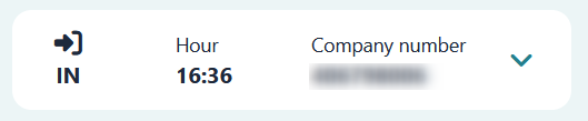 Summary screen for an IN registration, displaying the key details of the registration.